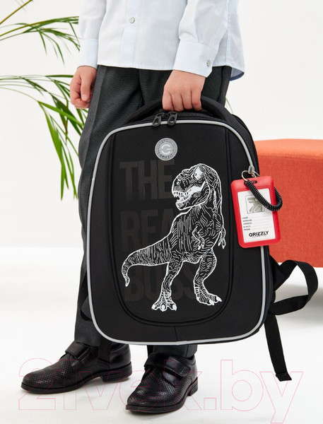 Изображение товара Школьный рюкзак Grizzly RAf-493-2 (черный)