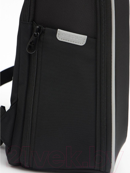 Изображение товара Школьный рюкзак Grizzly RAf-493-2 (черный)