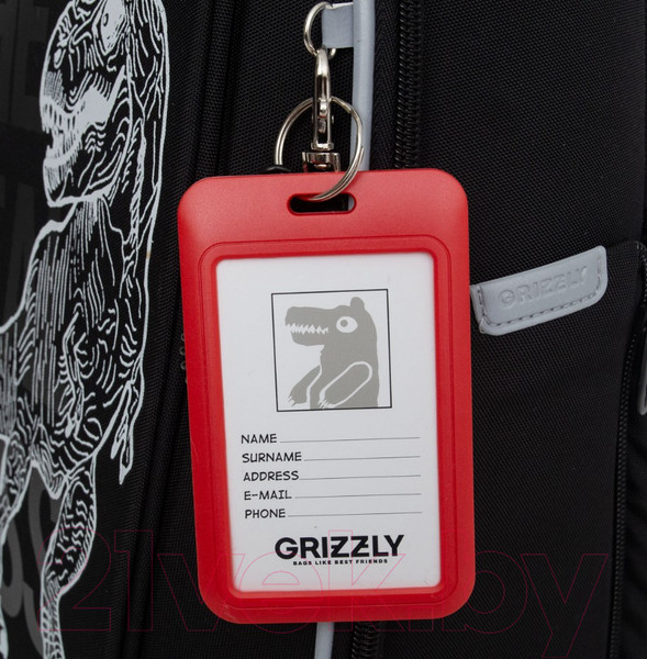 Изображение товара Школьный рюкзак Grizzly RAf-493-2 (черный)