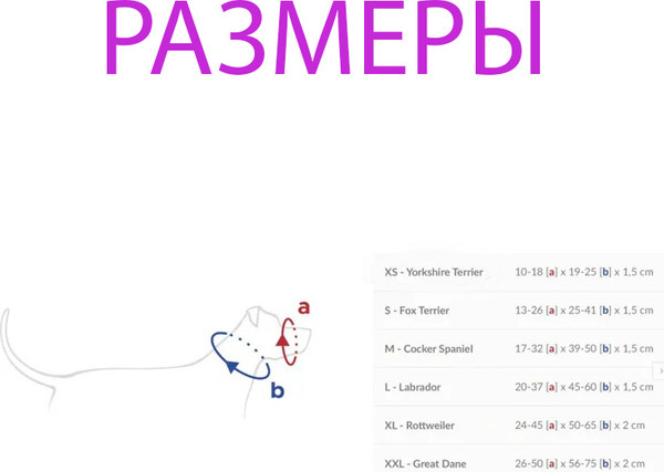 Изображение товара Недоуздок Ami Play Cotton Yorkshire Terrier 232297 (XS, оранжевый)