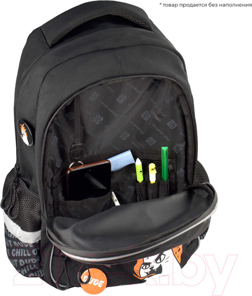 Изображение товара Школьный рюкзак Феникс+ Яростный кот / 64149