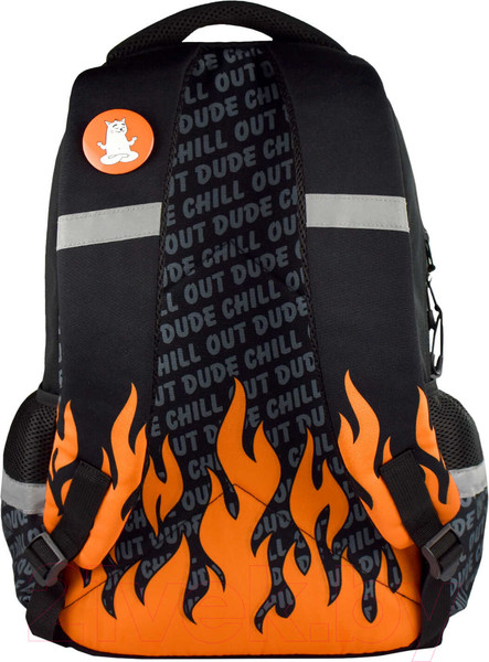 Изображение товара Школьный рюкзак Феникс+ Яростный кот / 64149