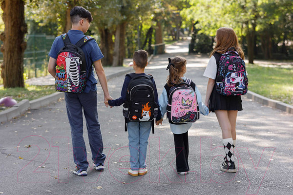 Изображение товара Школьный рюкзак Феникс+ Яростный кот / 64149