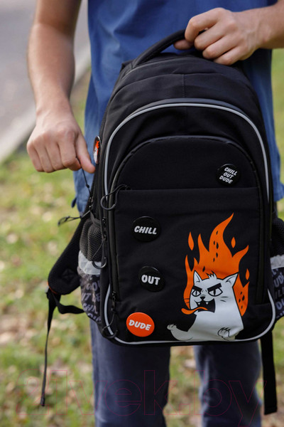 Изображение товара Школьный рюкзак Феникс+ Яростный кот / 64149