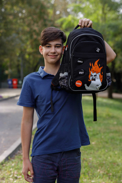 Изображение товара Школьный рюкзак Феникс+ Яростный кот / 64149