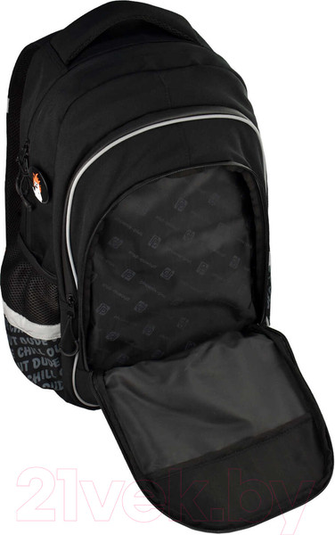 Изображение товара Школьный рюкзак Феникс+ Яростный кот / 64149