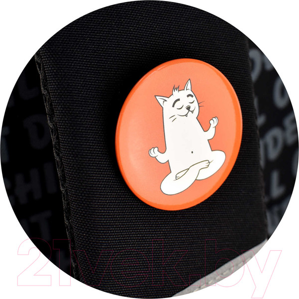 Изображение товара Школьный рюкзак Феникс+ Яростный кот / 64149