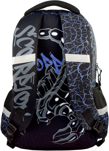 Изображение товара Школьный рюкзак Феникс+ Скорпион / 64152