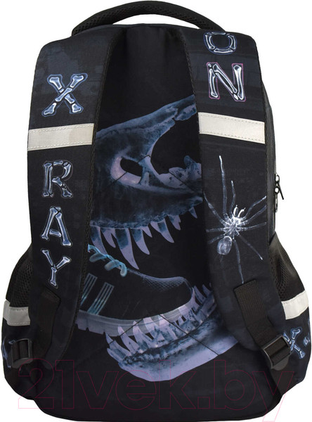 Изображение товара Школьный рюкзак Феникс+ Рентген / 64153