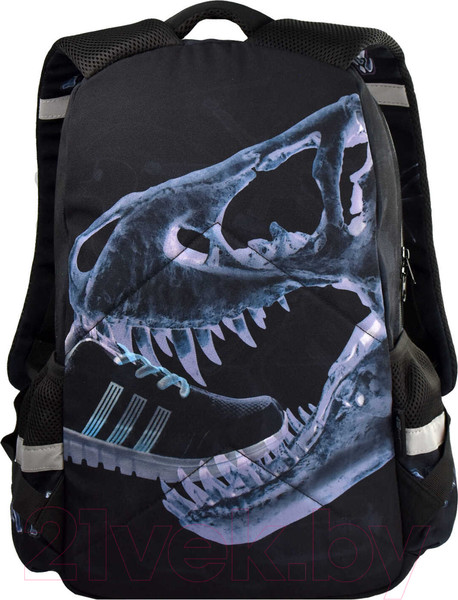 Изображение товара Школьный рюкзак Феникс+ Рентген / 64153
