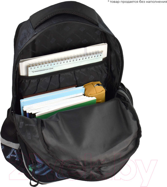 Изображение товара Школьный рюкзак Феникс+ Рентген / 64153