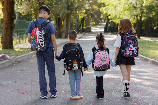 Изображение товара Школьный рюкзак Феникс+ Кибераниме / 64523