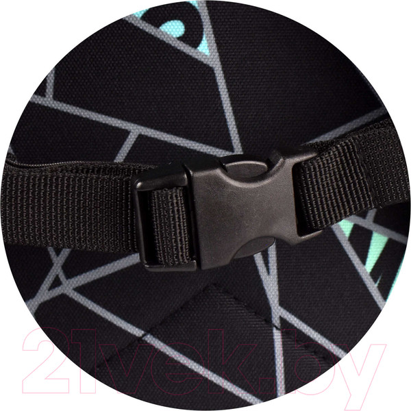 Изображение товара Школьный рюкзак Феникс+ Мишка / 64626