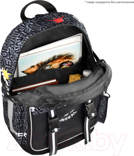 Изображение товара Школьный рюкзак Феникс+ Панк 2 / 64836