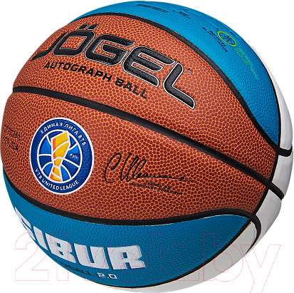 Изображение товара Баскетбольный мяч Jogel Ecoball 2.0 Autograph №3