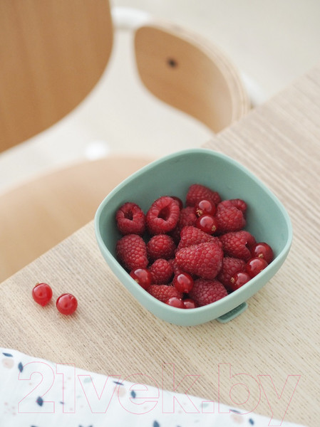 Изображение товара Тарелка для кормления Beaba Bol Silicone 913547 (Sage Green/Vert)