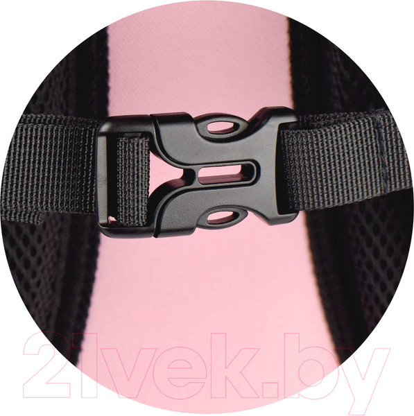 Изображение товара Школьный рюкзак Феникс+ Ты супер! / 64619