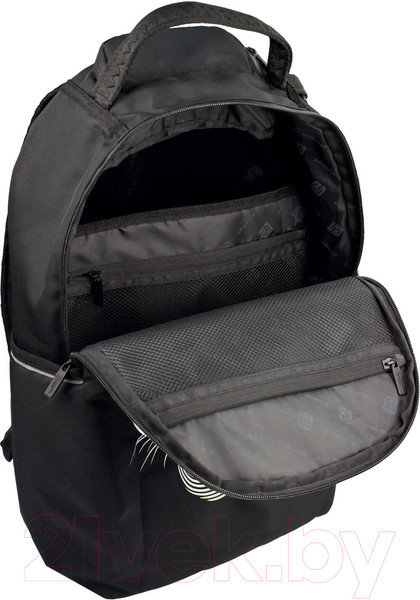 Изображение товара Школьный рюкзак Феникс+ Пума / 64157