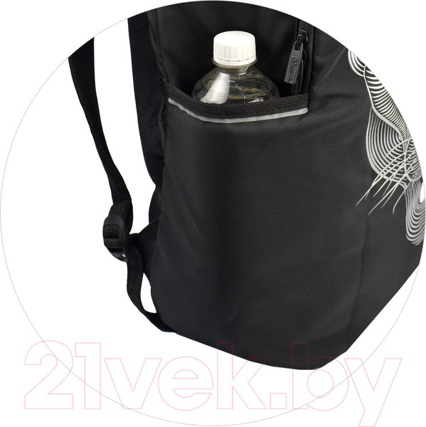 Изображение товара Школьный рюкзак Феникс+ Пума / 64157