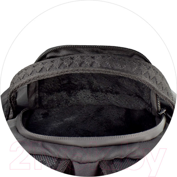 Изображение товара Школьный рюкзак Феникс+ Пума / 64157