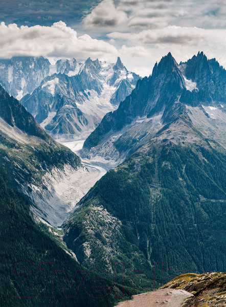 Изображение товара Картина Vimala На холсте 50x70 / Арт 145