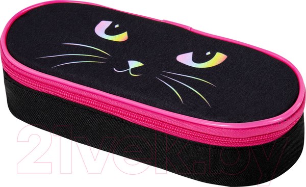 Изображение товара Пенал Brauberg Cat eye / 271585