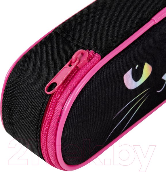 Изображение товара Пенал Brauberg Cat eye / 271585