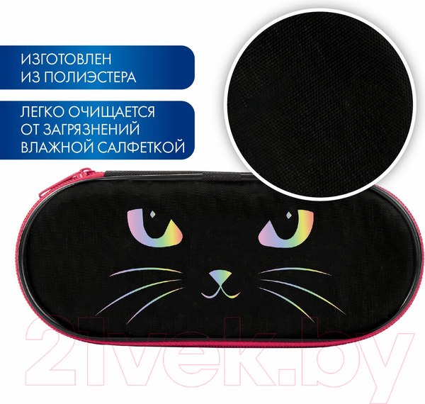 Изображение товара Пенал Brauberg Cat eye / 271585
