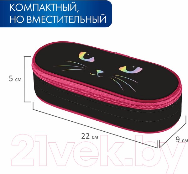Изображение товара Пенал Brauberg Cat eye / 271585