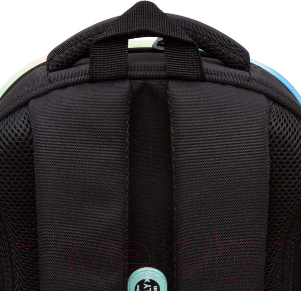 Изображение товара Школьный рюкзак Grizzly RAz-486-2 (черный)