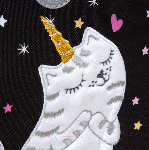 Изображение товара Школьный рюкзак Grizzly RAz-486-2 (черный)