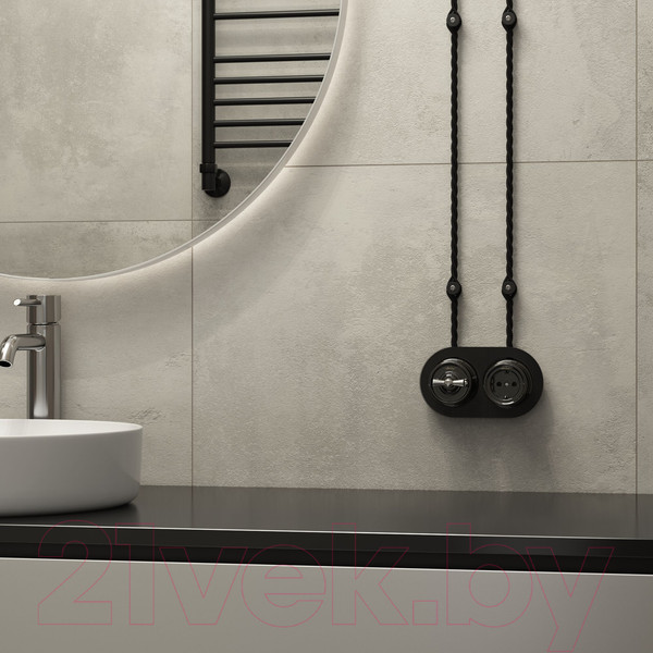 Изображение товара Розетка Werkel Ретро W5671008 (черный)