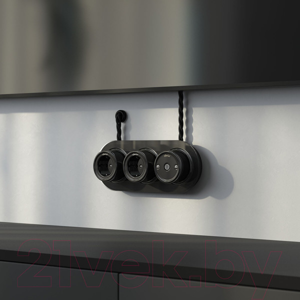 Изображение товара Розетка Werkel Ретро ТВ W5683008 (черный)