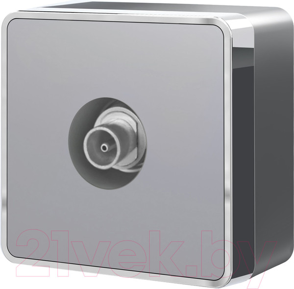 Изображение товара Розетка Werkel Gallant ТВ W5083006 (серебро)