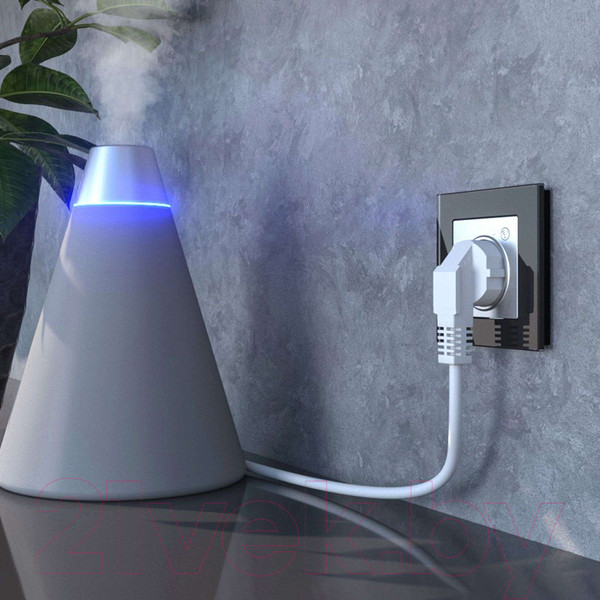 Изображение товара Умная розетка Werkel W1171606 (серебро)