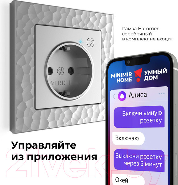 Изображение товара Умная розетка Werkel W1171606 (серебро)