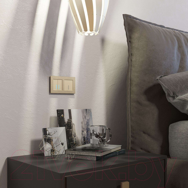 Изображение товара Умный выключатель Werkel W4520611 (шампань)