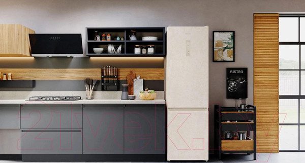 Изображение товара Холодильник с морозильником Hotpoint HT 5200 AB