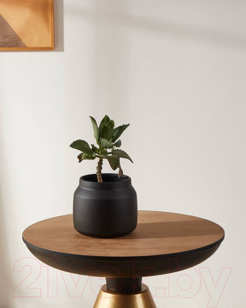 Изображение товара Кашпо Eglo Parkent 428144