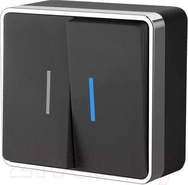 Изображение товара Выключатель Werkel Gallant W5020135 (черный/хром)