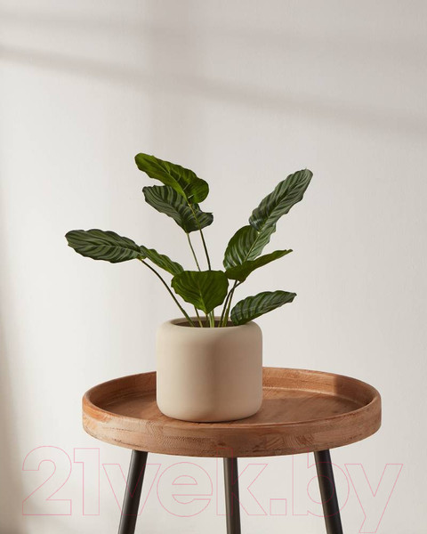 Изображение товара Кашпо Eglo Parkent 428146