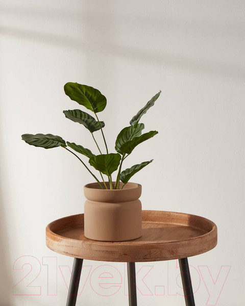 Изображение товара Кашпо Eglo Parkent 428149