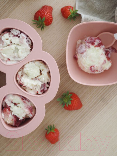 Изображение товара Контейнер для детского питания Beaba Old Pink 912615