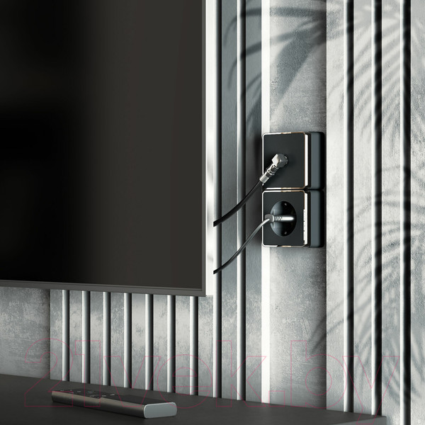 Изображение товара Розетка Werkel Gallant ТВ W5083035 (черный/хром)