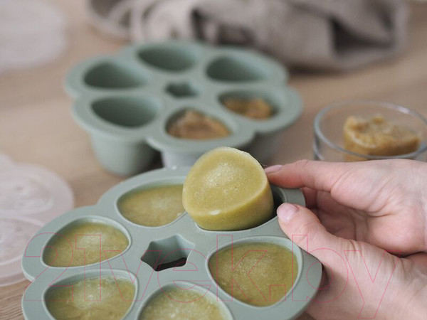 Изображение товара Контейнер для детского питания Beaba V. Sauge 914001