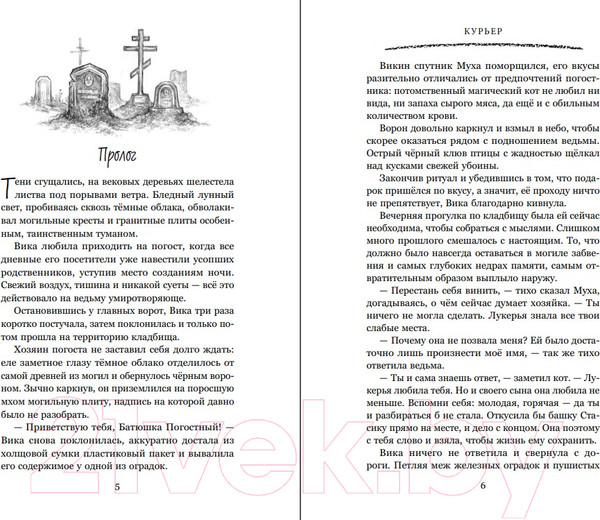Изображение товара Книга Эксмо Курьер на службе демона / 9785041993627 (Шивер О.)