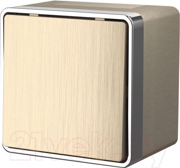 Изображение товара Выключатель Werkel Gallant W5010210 (шампань рифленый)