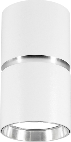 Изображение товара Точечный светильник Ambrella TN213115 WH/CH (белый/хром)