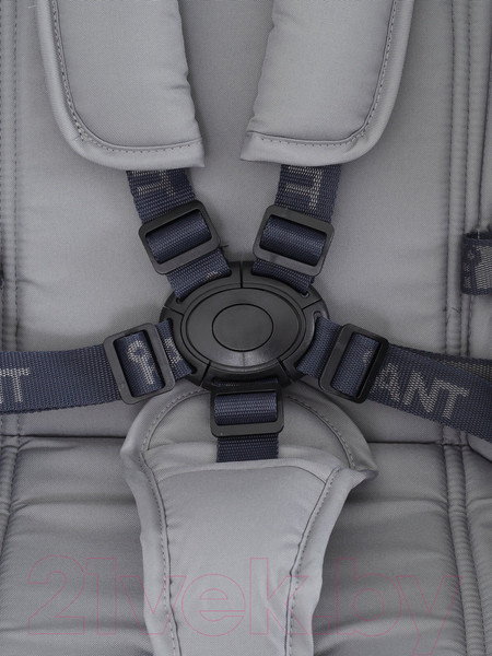 Изображение товара Детская универсальная коляска Rant Energy Basic 3 в 1 2024 / RA092 (серый)