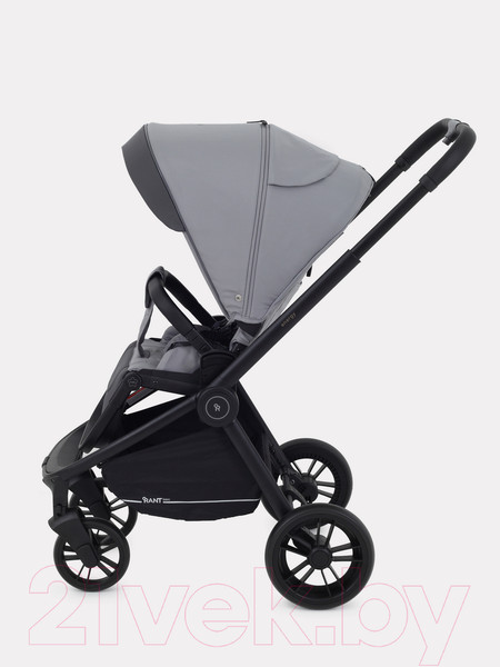 Изображение товара Детская универсальная коляска Rant Energy Basic 3 в 1 2024 / RA092 (серый)
